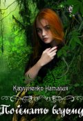 Обложка книги "Поймать ведьму"