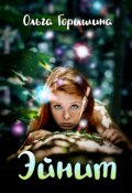 Обложка книги "Эйнит"