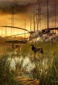 Обложка книги "S.T.A.L.K.E.R. Черная метка."
