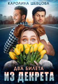 Обложка книги "Два билета из декрета"
