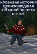 Обложка книги "Кровавая история, произошедшая со мной по пути домой"