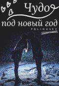 Обложка книги "Чудо под новый год"