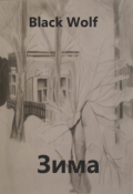 Обложка книги "Зима "