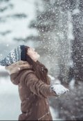 Обложка книги "Новогодняя история или удачно (не) сбежала"