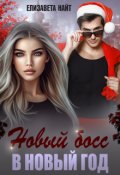 Обложка книги "Новый босс в новый год"
