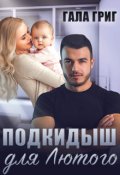 Обложка книги "Подкидыш для Лютого"