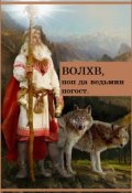 Обложка книги "Волхв, поп да ведьмин погост."
