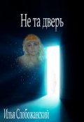 Обложка книги "Не та дверь"