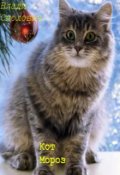 Обложка книги "Кот Мороз"