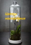 Обложка книги "Цветы настроения"