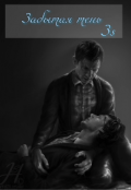 Обложка книги "Забытая тень"