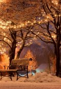 Обложка книги "Обездоленные пташки"
