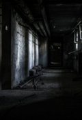 Обложка книги "Тень"