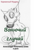Обложка книги "Вонючий случай"