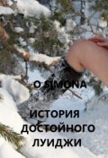 Обложка книги "История Достойного Луиджи"