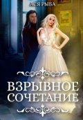 Обложка книги "Взрывное сочетание"