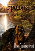Обложка книги "Бродяга (тихий город)"
