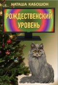 Обложка книги "Рождественский уровень"