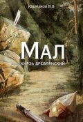 Обложка книги "Мал князь древлянский"