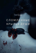 Обложка книги "Сломленные крылья души"