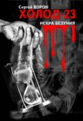 Обложка книги "Холод. Сага. Часть 23. Искра безумия"