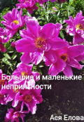 Обложка книги "Большие и маленькие неприятности"