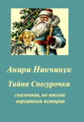 Обложка книги "Тайна Снегурочки"