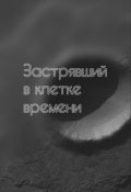 Обложка книги "Застрявший в клетке времени"