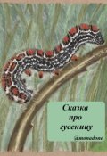 Обложка книги "Сказка про гусеницу"