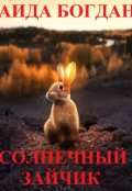 Обложка книги "Солнечный зайчик"