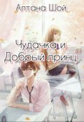 Обложка книги "Чудачка и Добрый принц"