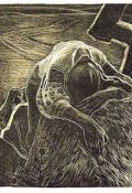 Обложка книги "Рынька"