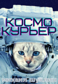 Обложка книги "Космокурьер"