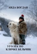 Обложка книги "Уголёк по кличке Бельчик"