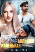 Обложка книги "Моя большая маленькая тайна"