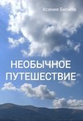 Обложка книги "Необычное путешествие"