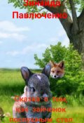 Обложка книги "Сказка о том"