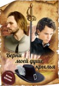 Обложка книги "Верни моей душе крылья"