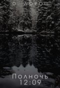 Обложка книги "Полночь: 12:09"