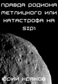 Обложка книги "Правда Родиона Метлицкого или катастрофа на Sip1"
