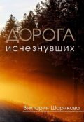 Обложка книги "Дорога Исчезнувших"