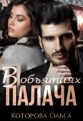 Обложка книги "В объятиях палача"