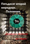 Обложка книги "Пятьдесят второй меридиан. Паломник, дорога в тумане"