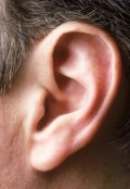 Обложка книги "Dolby Stereo"