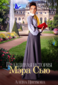 Обложка книги "Правдивая история Мэра Сью"