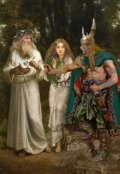 Обложка книги "Кельтская ярость"