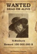 Обложка книги "N.Madeyra: билет в один конец"