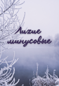 Обложка книги "Лихие минусовые"