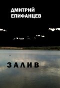 Обложка книги "Залив"