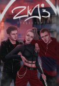 Обложка книги "Zkd 3: Правосудие"